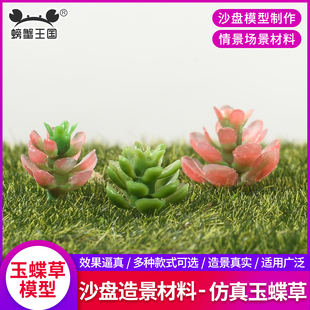 沙盘模型diy手工制作材料微缩景观绿植盆栽植物玉蝶草造景摆件