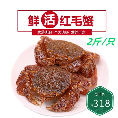 红毛蟹鲜活特大红毛蟹俄罗斯