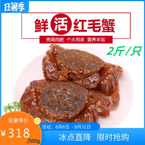 红毛蟹鲜活特大红毛蟹俄罗斯