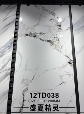 白色瓷砖水墨画浅色600X1200客餐厅防滑地板砖750X1500寒江雪墙砖