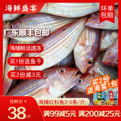 顺丰湛江红杉鱼500g海鱼新鲜冷冻海鲜水产海钓红三鱼金丝鱼金线鱼