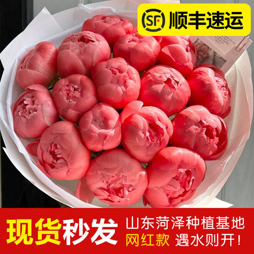 顺丰冷链，反季现货现发！