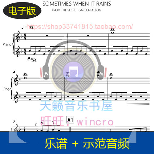 Sometimes When It Rains下雨的时候 钢琴谱独奏谱 神秘园 音频