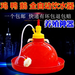 加厚鸡用全自动饮水器鸡鸭鹅自动加水壶普拉松饮水器养殖设备养鸡
