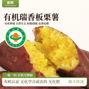 有机板栗薯瑞香品种有机认证自然成熟红薯辅食皮薄肉厚粉糯香甜