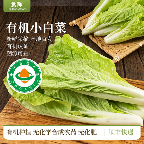 有机小白菜自然生长时令新鲜蔬菜轻食沙拉宝宝辅食素食火锅食材