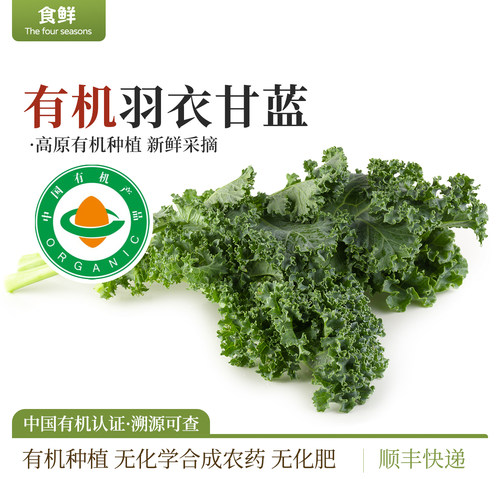 有机羽衣甘蓝新鲜蔬菜健身榨汁
