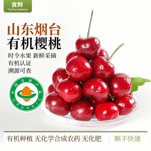山东有机大樱桃不催熟自然生长时令新鲜采摘水果酸甜多汁顺丰包邮