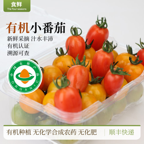 有机小番茄圣女果小西红柿自然生长新鲜采摘颗颗饱满酸甜多汁顺丰