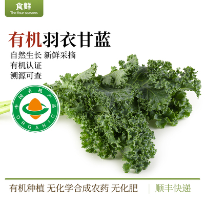 有机羽衣甘蓝新鲜蔬菜健身榨汁