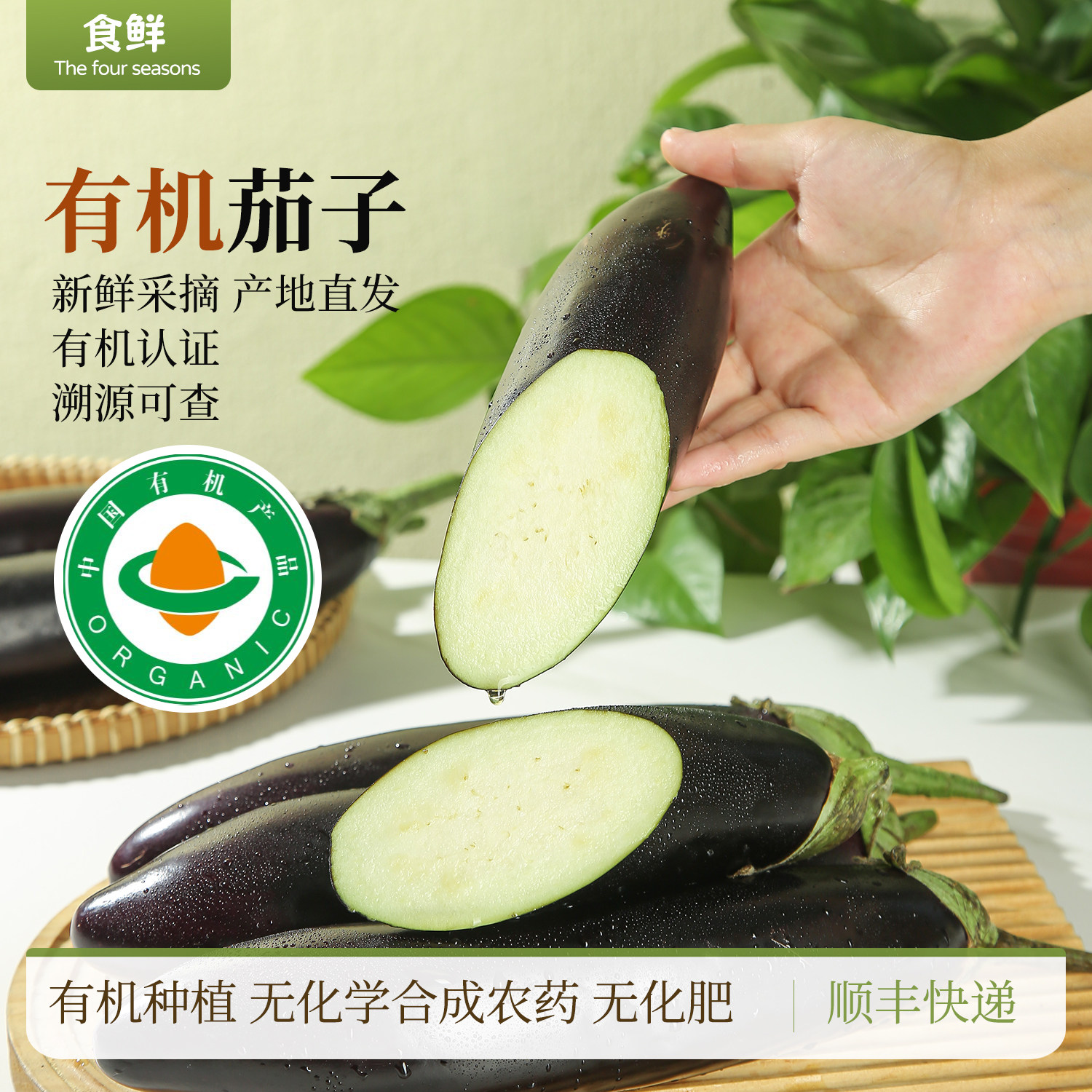 有机茄子新鲜采摘紫长茄有机种植自然生长时令蔬菜产地直发烹饪