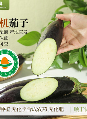 有机茄子新鲜采摘紫长茄有机种植自然生长时令蔬菜产地直发烹饪