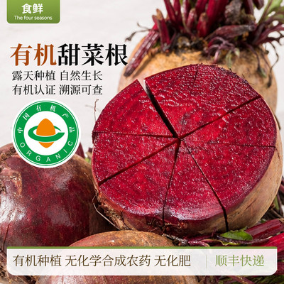 有机甜菜根红甜菜顺丰产地直发健康饮食榨汁生吃凉拌新鲜红菜头