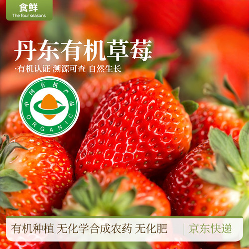 有机草莓有机种植安全放心现摘产地直发宝宝孕妇新鲜水果京东包邮