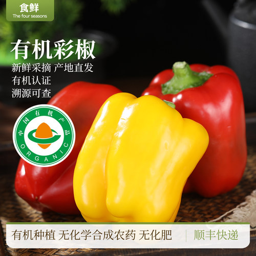 有机彩椒圆椒有机种植自然成熟产地直发部分带青顺丰包邮凉拌烹饪