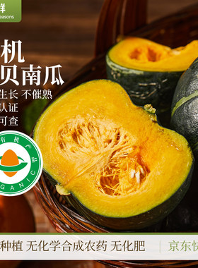 有机贝贝南瓜时令蔬菜新鲜当季果蔬板栗南瓜粉糯蒸煮早餐宝宝辅食