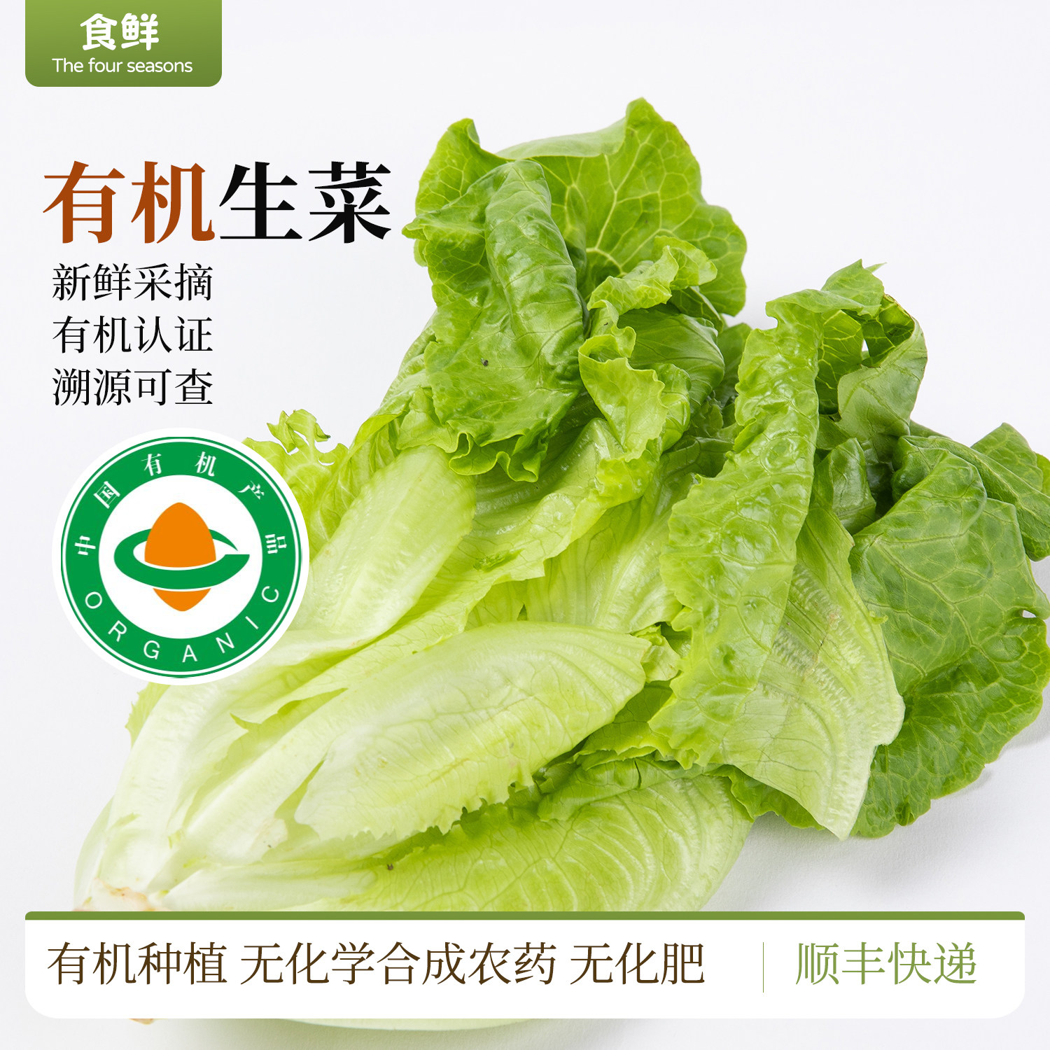 云南有机生菜新鲜采摘时令有机蔬菜自然生长沙拉凉拌烹饪顺丰包邮图片