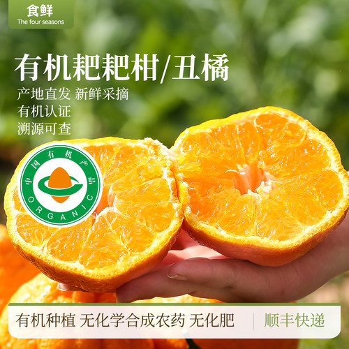 四川浦江有机耙耙柑丑橘新鲜采摘时令水果皮薄易剥果肉饱满多汁
