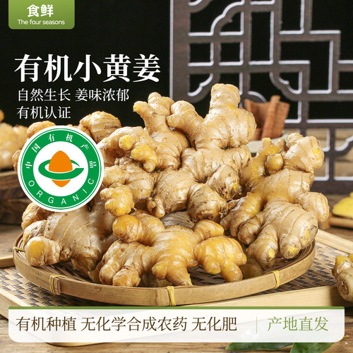 云南有机小黄姜生姜自然生长新鲜月子姜鲜姜孕妇榨汁调味农产品
