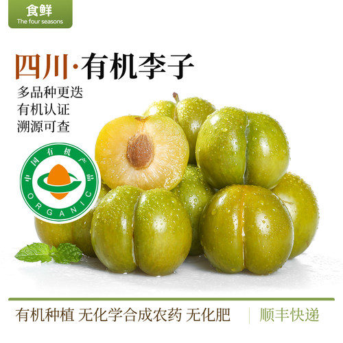 有机李子酸甜爽口果肉饱满多品种更迭新鲜采摘时令水果产地直发