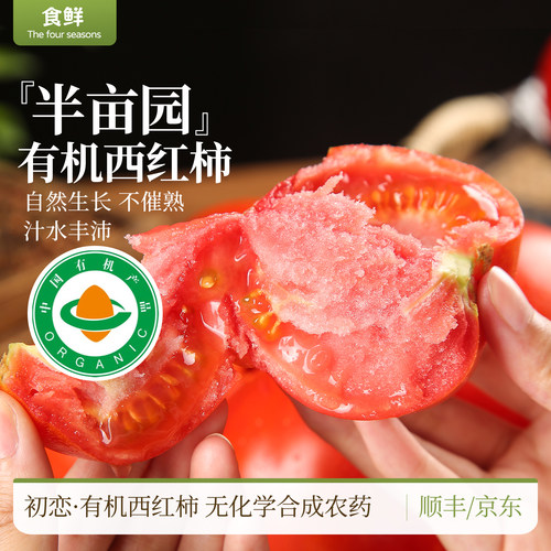新疆有机西红柿半亩园番茄自然生长新鲜采摘时令蔬菜生吃凉拌烹饪