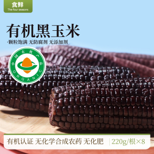 锁鲜早餐 有机玉米紫黑玉米有机种植非转基因蒸煮食用10根真空包装
