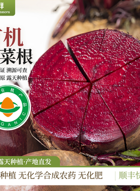 有机甜菜根红甜菜顺丰产地直发健康饮食榨汁生吃凉拌食疗红菜头