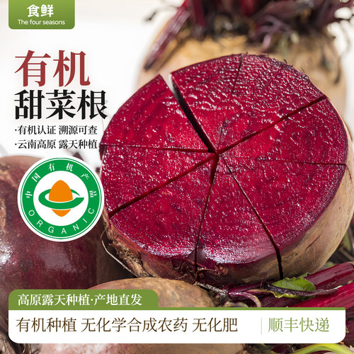 有机甜菜根红甜菜顺丰产地直发健康饮食榨汁生吃凉拌食疗红菜头