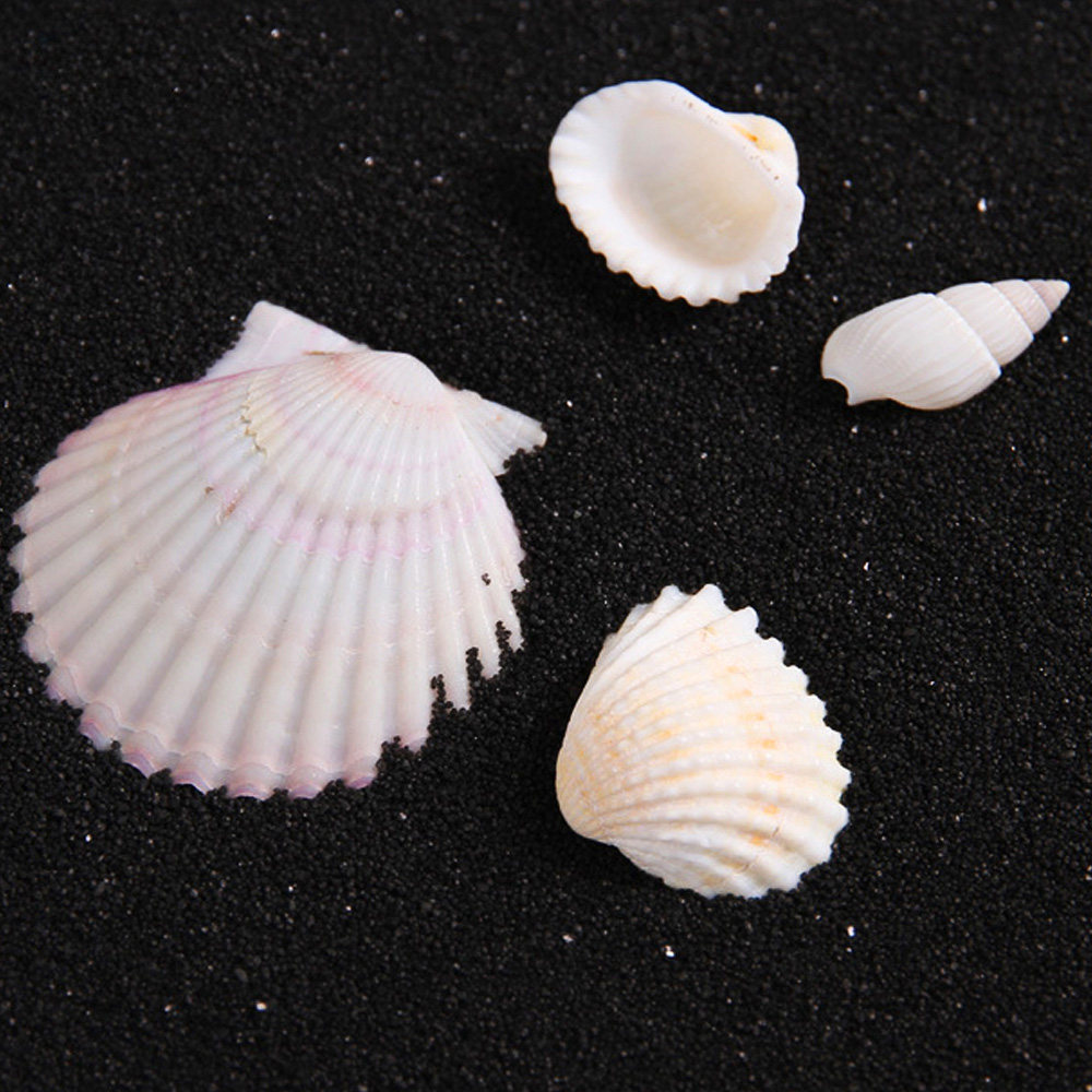 SITOO/喜图 黑沙200g网店淘宝手表珠宝饰品摄影道具沙子拍