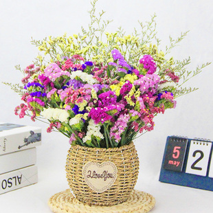 干花花束客厅摆设真花装饰摆件鲜插云南直发天然风干勿忘我满天星