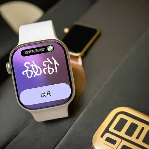 百度10可双2026地图TS新款支付
