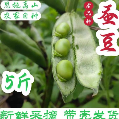 胡豆实惠农家自种蚕豆