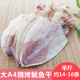 KTV酒吧鱿鱼干大A4烧烤材料手撕北海淡晒尤鱼干货250g14 包邮 16个