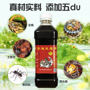 外用蛇麻五毒药酒透骨液颈肩腿舒筋活络通经络关节跌打损扭骨伤疼