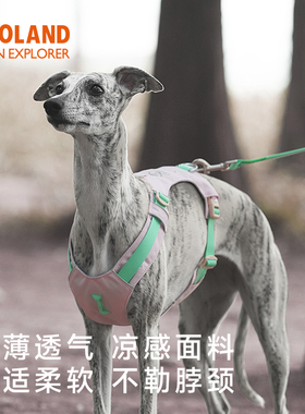 ZOOLAND狗狗胸背牵引绳工字遛狗小中大型犬防爆冲挣脱宠物牵狗绳