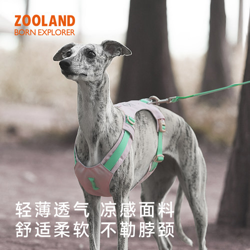 ZOOLAND狗狗防爆冲工字牵引绳
