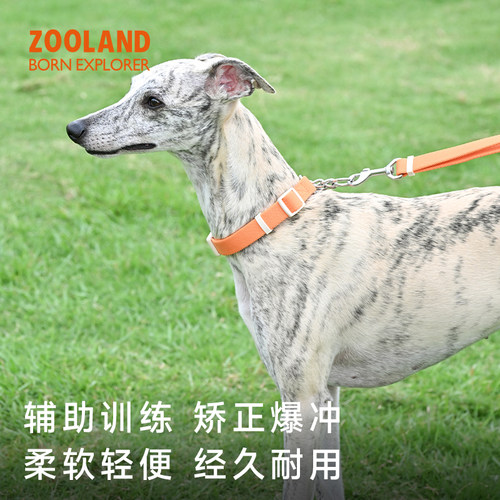 ZOOLAND防爆冲训练脖圈牵引绳子