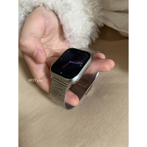 DT play 银色纹理小众表带适用于苹果iwatchs11applewatchs10/s9