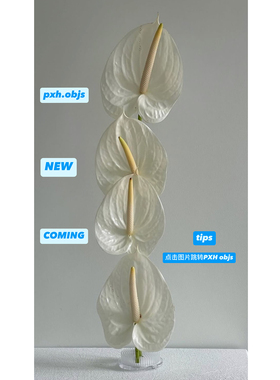 DT play && pxh .objs  new coming~~~适用于苹果手机壳