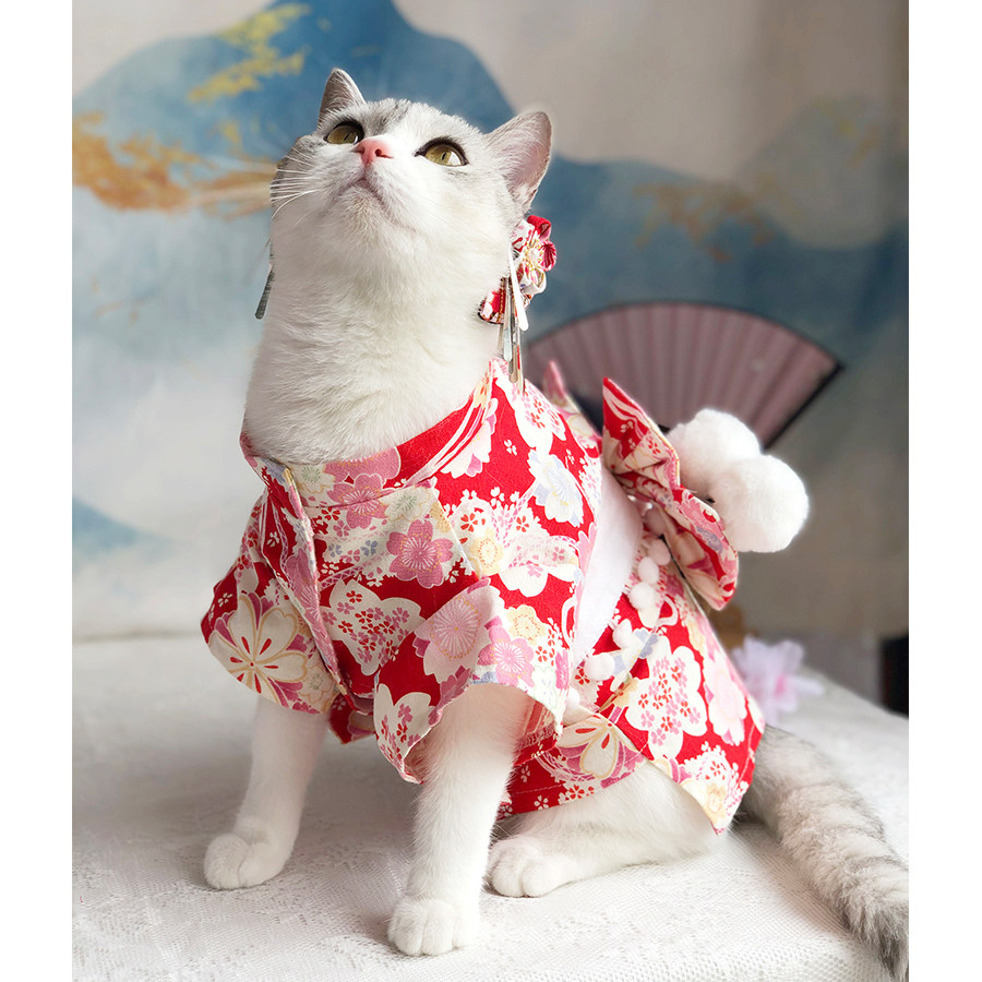 春风大小乔原创日式宠物和服猫咪狗狗衣服春夏防掉毛英短柴犬写真