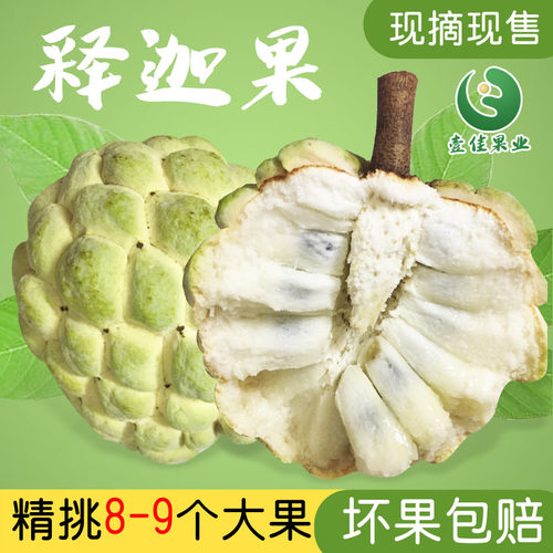 樟林林檎现摘现发顺丰包邮