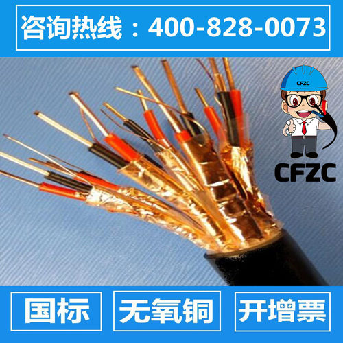 阻燃计算机电缆ZR-DJVP2VP2-22/DJYP2VP2-22-2*2*0.5/0.75/1/2.5