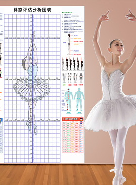 体态评估表青少年艺术培训体测表身高站姿儿童形体评估图表可定制
