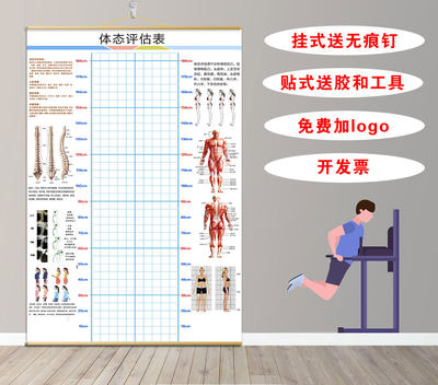 体态评估图健身房体测表瑜伽私教身体形体测评脊椎修复墙壁画装饰