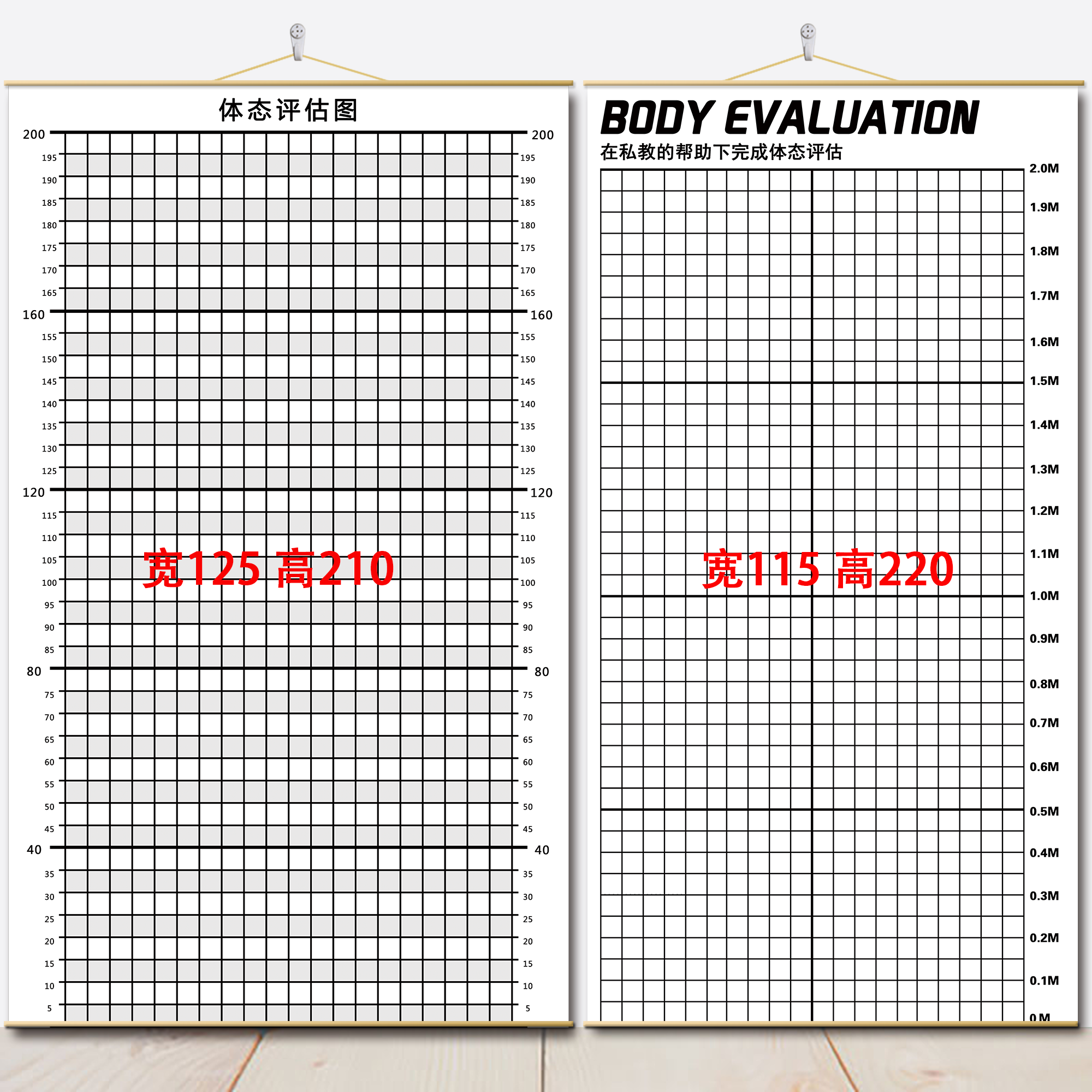 体态评估图体测表瑜伽私教身体形体健身测评脊椎康复墙面挂图