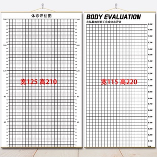 体态评估图体测表瑜伽私教身体形体健身测评脊椎康复墙面挂图