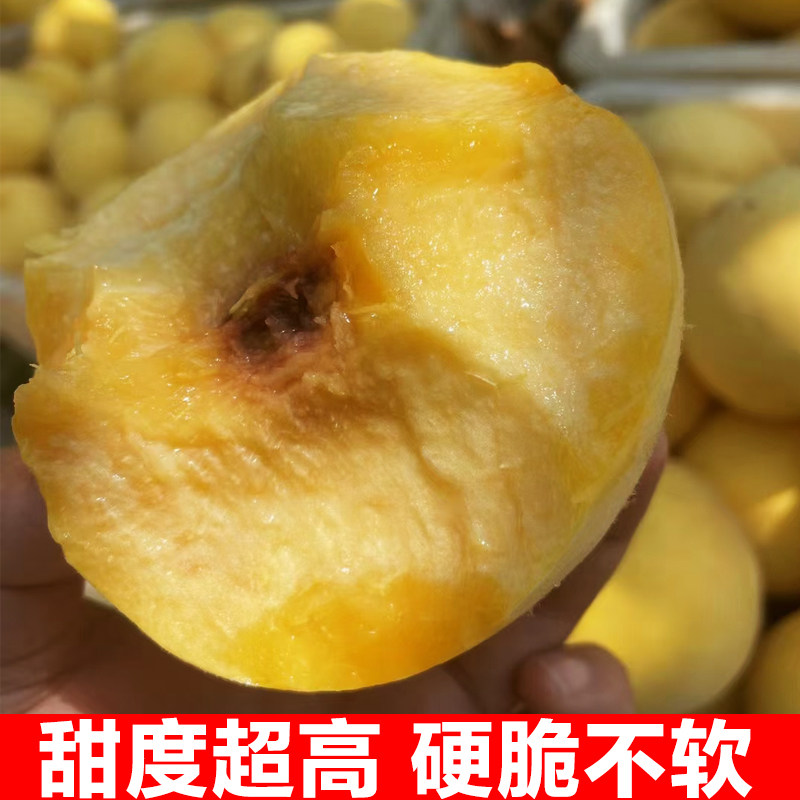 新鲜桃子脆桃 5斤毛黄桃大硬甜孕妇儿童现摘现发顺丰整箱当季水果