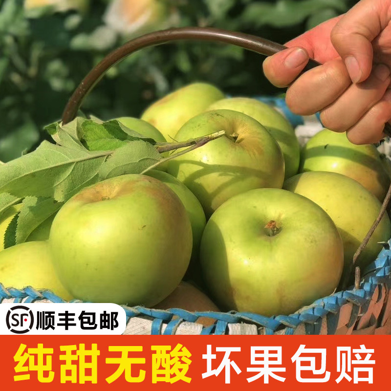 新鲜大沙河青苹果甜脆