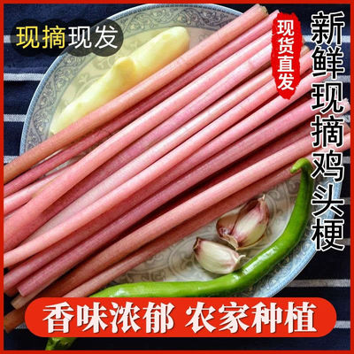 新鲜鸡头梗湖北洪湖特产去皮芡实梗时令蔬菜鸡头米刺梗非藕尖刺梗