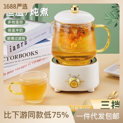 多功能养生壶办公室大容量养生杯电热杯煮花茶烧水other/其他 D2